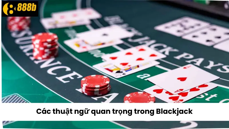 Các thuật ngữ quan trọng trong Blackjack