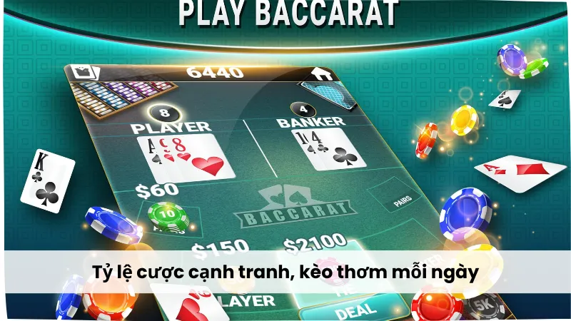 Tỷ lệ cược cạnh tranh, kèo thơm mỗi ngày