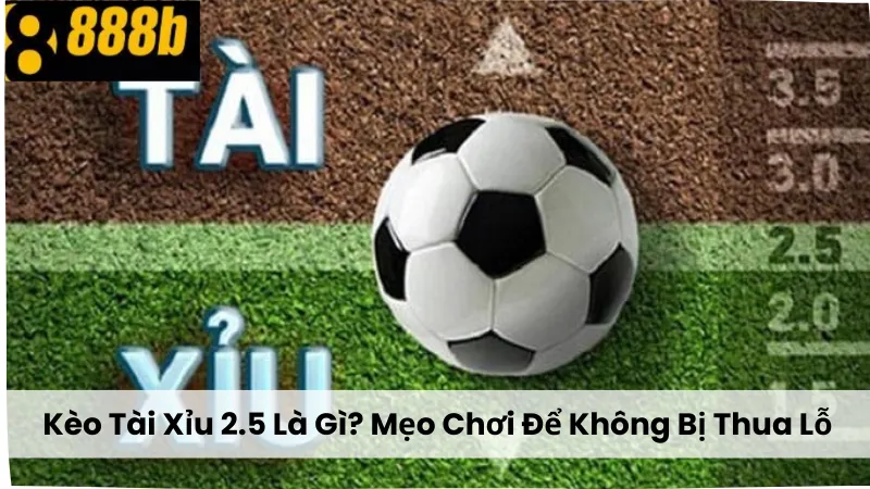 Kèo Tài Xỉu 2.5 Là Gì? Mẹo Chơi Để Không Bị Thua Lỗ