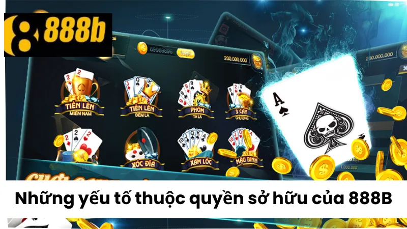 Những yếu tố thuộc quyền sở hữu của 888B